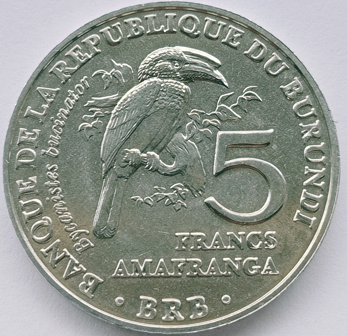 Burundi 5 Franków 2014  Dzioborożec (Bycanistes bucinator)