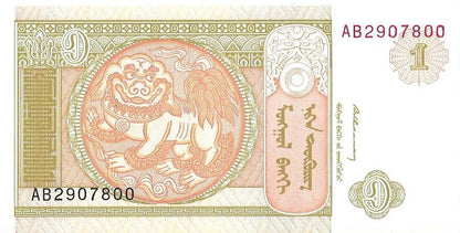 Mongolia 1 Tögrög 1993 - UNC