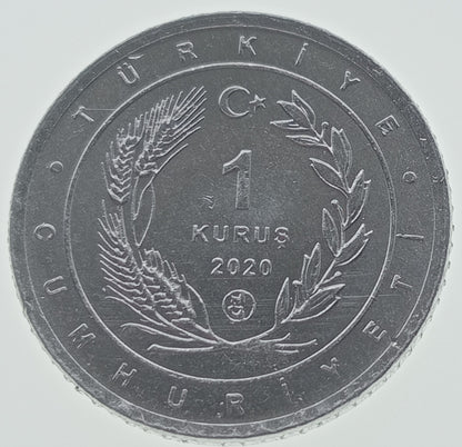 Turcja 1 Kurusz 2020 Spoonbill